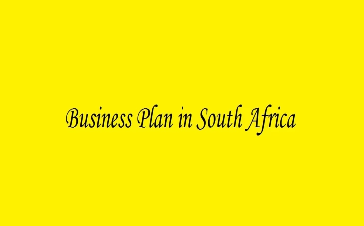 dti south africa business plan template